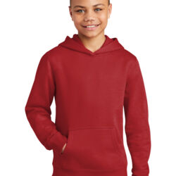 Youth V.I.T. Fleece Hoodie Thumbnail